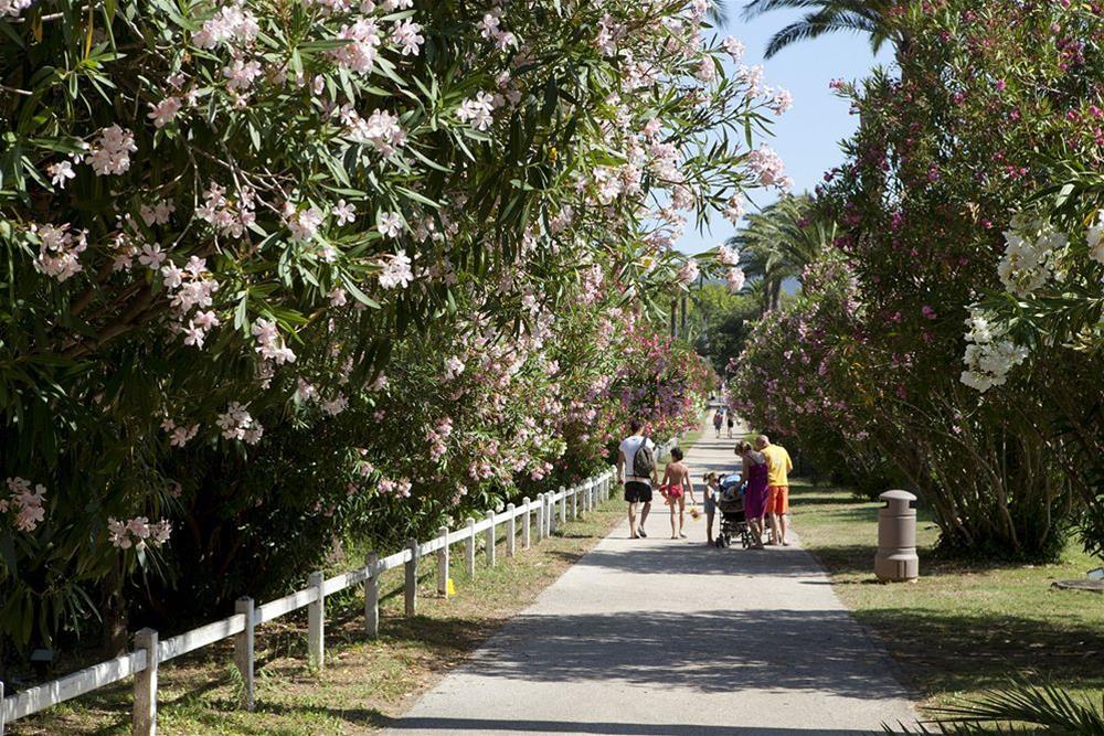 Résidence Pierre&Vacances Les Parcs de Grimaud Esterno foto